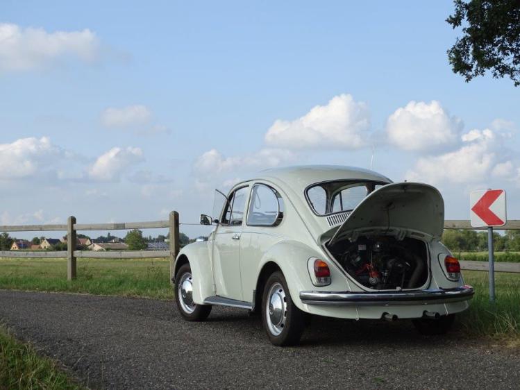 1968 toga white beetle